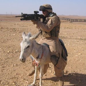 Meet your Posher, Leonard